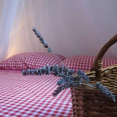 Stone House With Garden 別荘